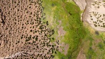Aerial shot drone flies forward with camera facing down over green grassy valley with small ponds and alpacas grazing