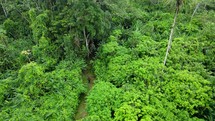 Aerial shot drone flying forward over over lush green hiking trail with hikers passing below trees in middle of Amazon rainforest