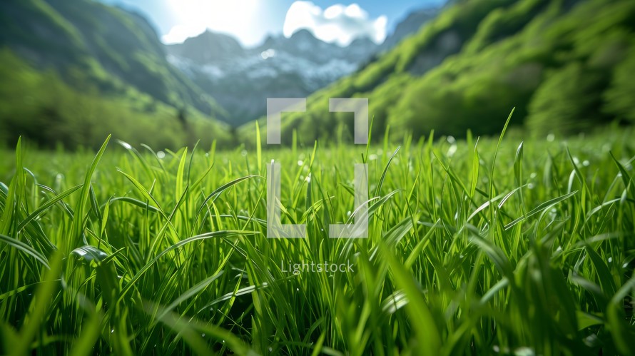 Tranquil Swiss alpine landscape with macro photography of lush green meadows and close-ups of verdant grass blades, capturing the natural beauty of the mountainous terrain Generative AI