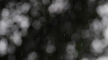 Slow motion rain drops fall through the sky in front of blurred trees.