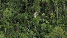 Aerial Mountian Jungle Rainforest 
