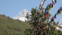 Tibetan prayer flags and trees in foreground with Himalaya mountain peak in background