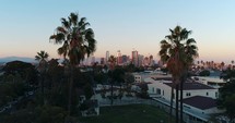 Aerial Los Angeles Palm Trees Flythrough City America Cali California Golden Hour