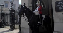 4K London Horse Guard Buckingham Palace London England Capital Slider Shot Slow Motion