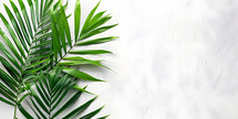 Palm leaf border on a white texture background, Palm Sunday background