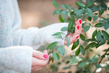 a woman's hands touching leaves on a bush 