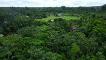 Aerial shot drone flying over lush jungle in middle of Amazon rainforest to reveal indigenous village