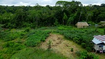 Aerial shot drone flying to right over green field as hikers walk around an indigenous village in middle of Amazon rainforest