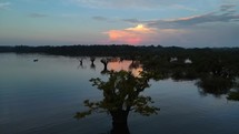 Aerial shot drone slowly rises over large tree in middle of lagoon in Amazon rainforest with sunset behind the camera