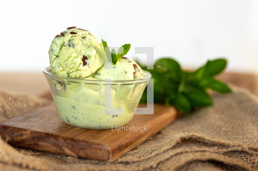 mint chocolate chip ice cream 