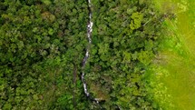Aerial shot drone camera facing down over top a stream flowing in Cocora Valley