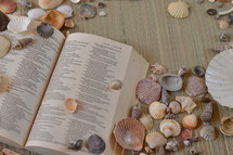 opened Bible and seashells 