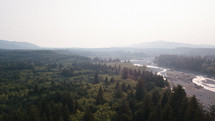 evergreen forest and river in a valley 