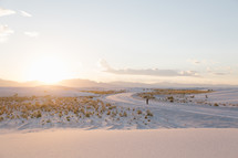 snow scene at sunrise 