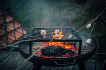 people having marshmallows on a bonfire