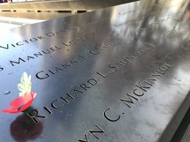 flower in the 911 memorial 