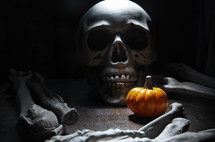 skeleton and pumpkin