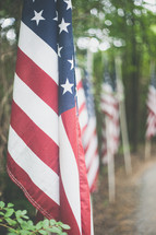 path lined with American flags 