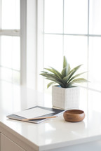 house plant, journal, and wood bowl on a countertop by a window 