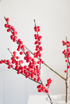 red berries on twigs in a vase 