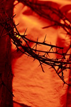 blood red crown of thorns up close with old wooden beam on cloth