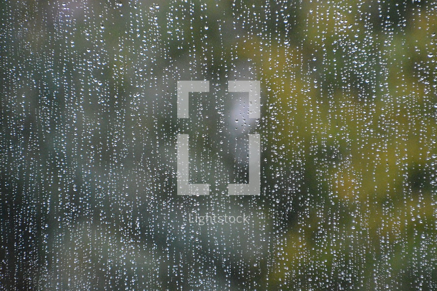 overlook to the nature outside through a wet window at a rainy day.
rain, drops, drop, raindrop, raindrops, window, pane, glass, overlook, view,
rainy, rainy day, wet, water, through, outside, nature, natural, green, grey, gray, inside, dry, wait, waiting, pour down, teem down, pluvial, shower, sad, sadly, blue, unhappy, gloomy, sorry, sorrowful, mourn, mournful, mournfully, desolate, woeful, upset, dolorous, tearily, tear, tears, rain-swept, plant, plants, outdoor, autumn, fall, winter, lonely, dull