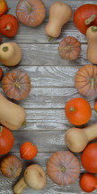 flat lay of different kinds of pumpkins and gourds on raw gray wood planks as frame with copy space in the middle