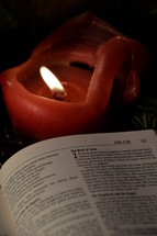 bible open to Luke 2: The Birth of Jesus with burning candles in advent. 
Advent, christmas, bible, open, birth, Jesus, born, waiting, wait, candle, candles, burn, burning, flame, flames, red, Luke, Luke 2, Bethlehem, arrive, arriving, come, coming, await, await arrival, arrival, new, baby, new born, newborn, anticipated, anticipate, anticipating, expected, expect, expecting, awaited, long-awaited, hope, hoping, desiderated, longed, longed for, long-yearned-for, crave, desire, long, desiderate, longing, craving, desiring, fir, fir branch, branch, fir-bough, read, reading, written, cone, fir cone, pine, pine cone, study, bible study, quiet time, quiet, time, Christmas story, nativity, nativity story