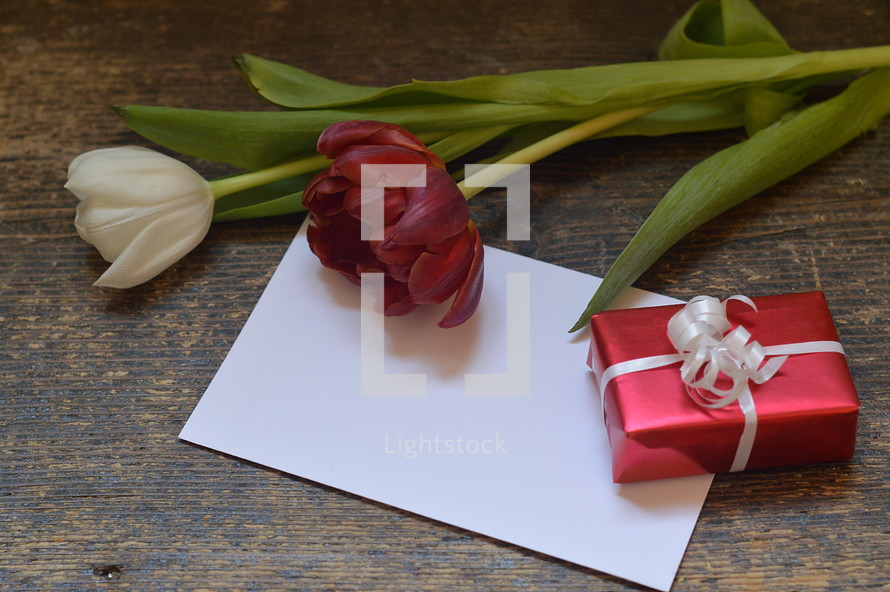 A little present with a blank piece of paper and a red and a white tulip. 