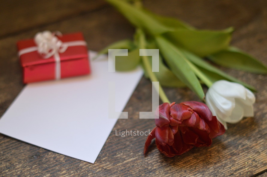 A little present with a blank piece of paper and a red and a white tulip.