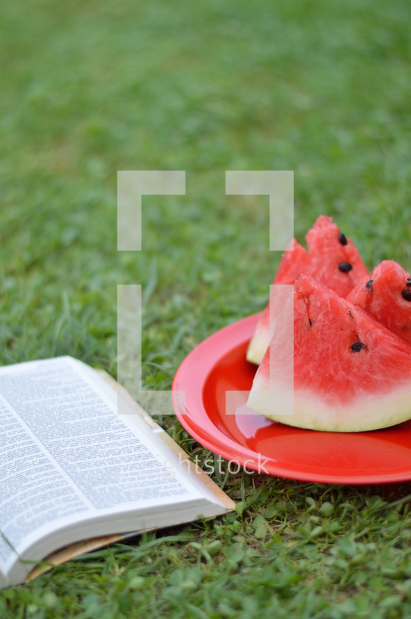 watermelon slices on a plate and open Bible in the grass