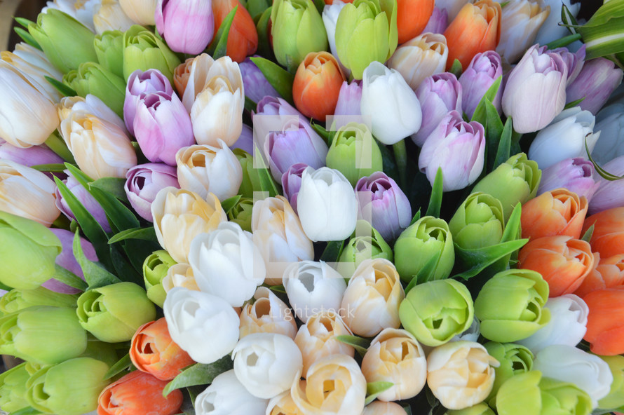 tulip bouquet 