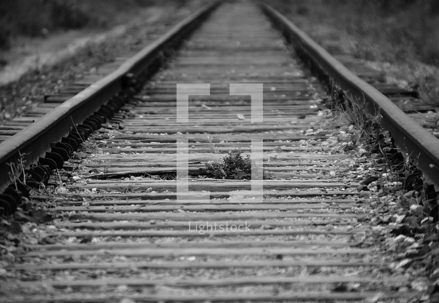 railroad tracks fading in the distance. 
