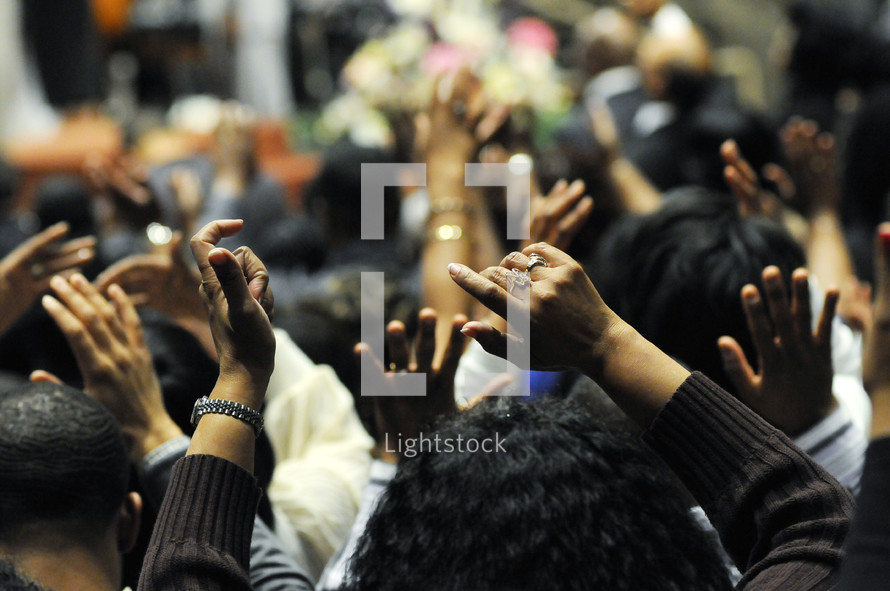 congregation with their hands raised in praise and worship to God