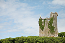 ivy on castle walls 