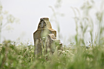 grave marker in tall grasses