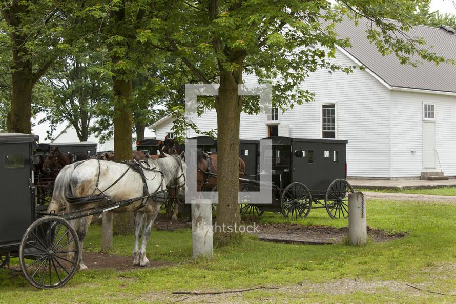 Amish horses and buggies at meeting house (church)