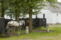 Amish horses and buggies at meeting house (church)