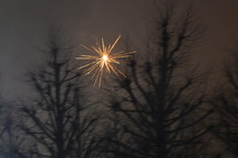explosion in the shape of a star over trees. 
