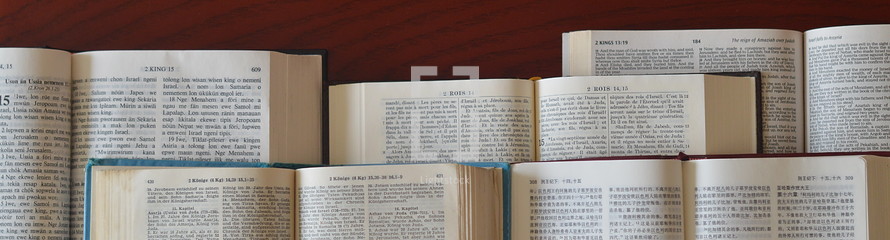bibles in different languages open at 2. kings