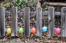 Easter eggs on a fence 