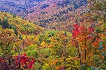 vibrant fall foliage on Catskills mountains 
