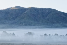 fog in a valley field 