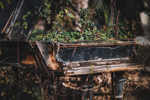 Old abandoned piano and plants