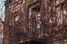 Old abandoned balcony with dried ivy 