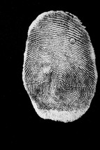 A white fingerprint 