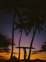 A person carries a surfboard on his head between palm trees in the sunset.