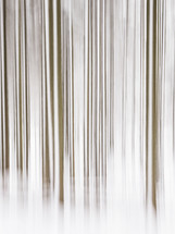 A stunning winter scene of trees, snow and wood captured in a long exposure. The abstract pattern creates an eye-catching interior design backdrop.