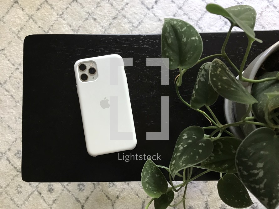 iPhone and houseplant 