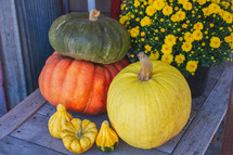 Halloween, Thanksgiving or Fall harvest festival pumpkin stock photo background